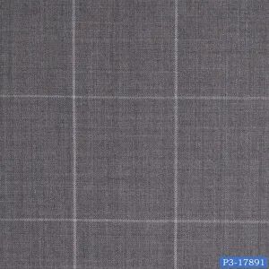 Fossil Grey With White Windowpane Suit