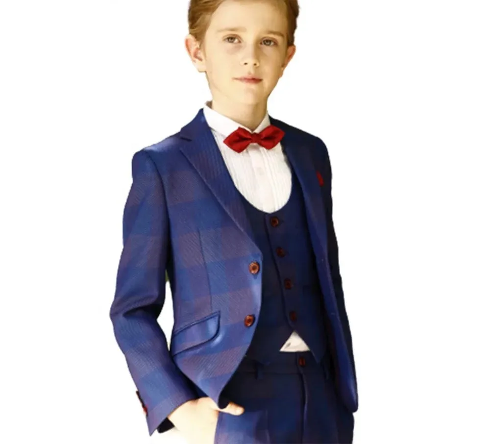 Navy Blue & Burgundy Classic Fit Suit