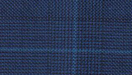 Navy Windowpane