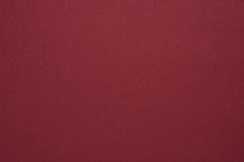 Plum Red Plain Suit