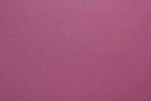 Raspberry Pink Plain Suit
